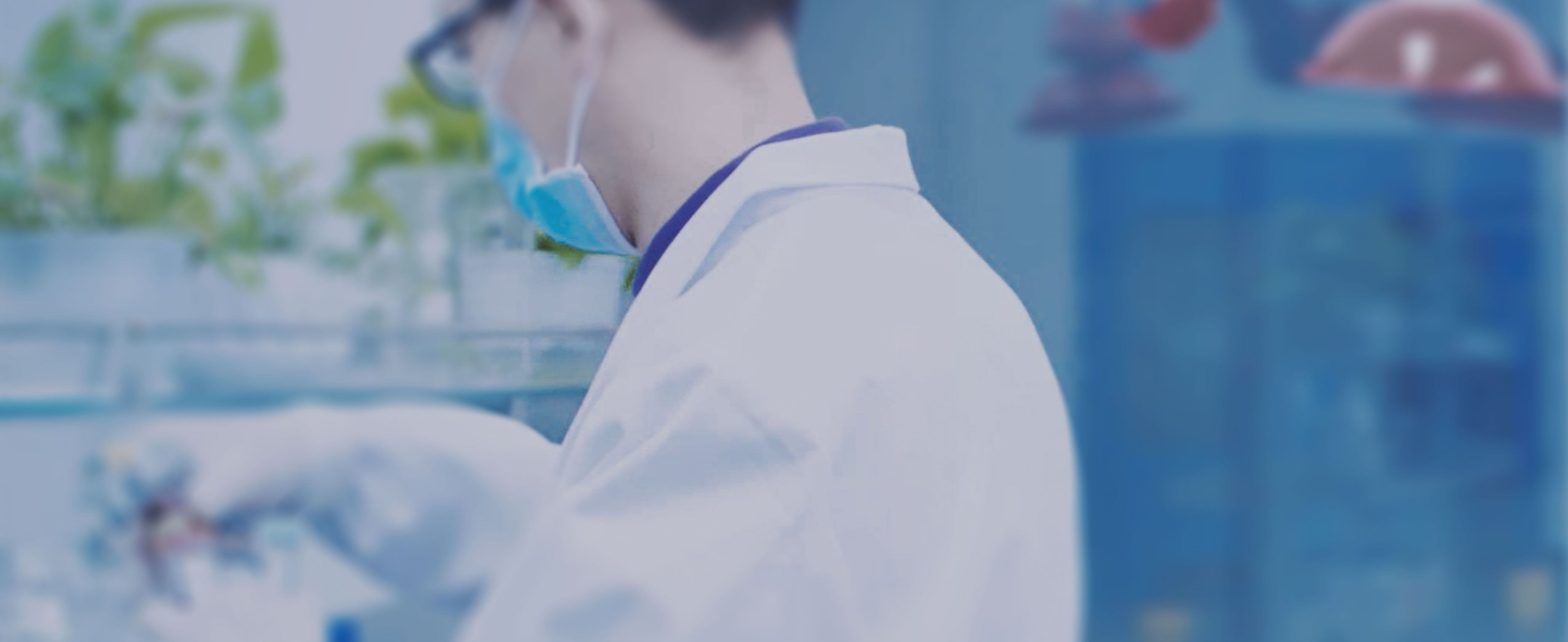 科研創(chuàng)新